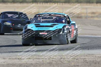 media/Oct-21-2023-Speed Ventures (Sat) [[ddf75163c5]]/Green/Grapvine/